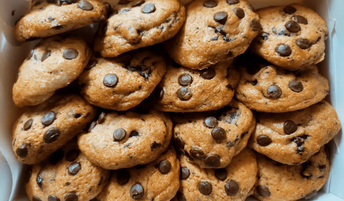 Mini Chocolate Chip Cookies