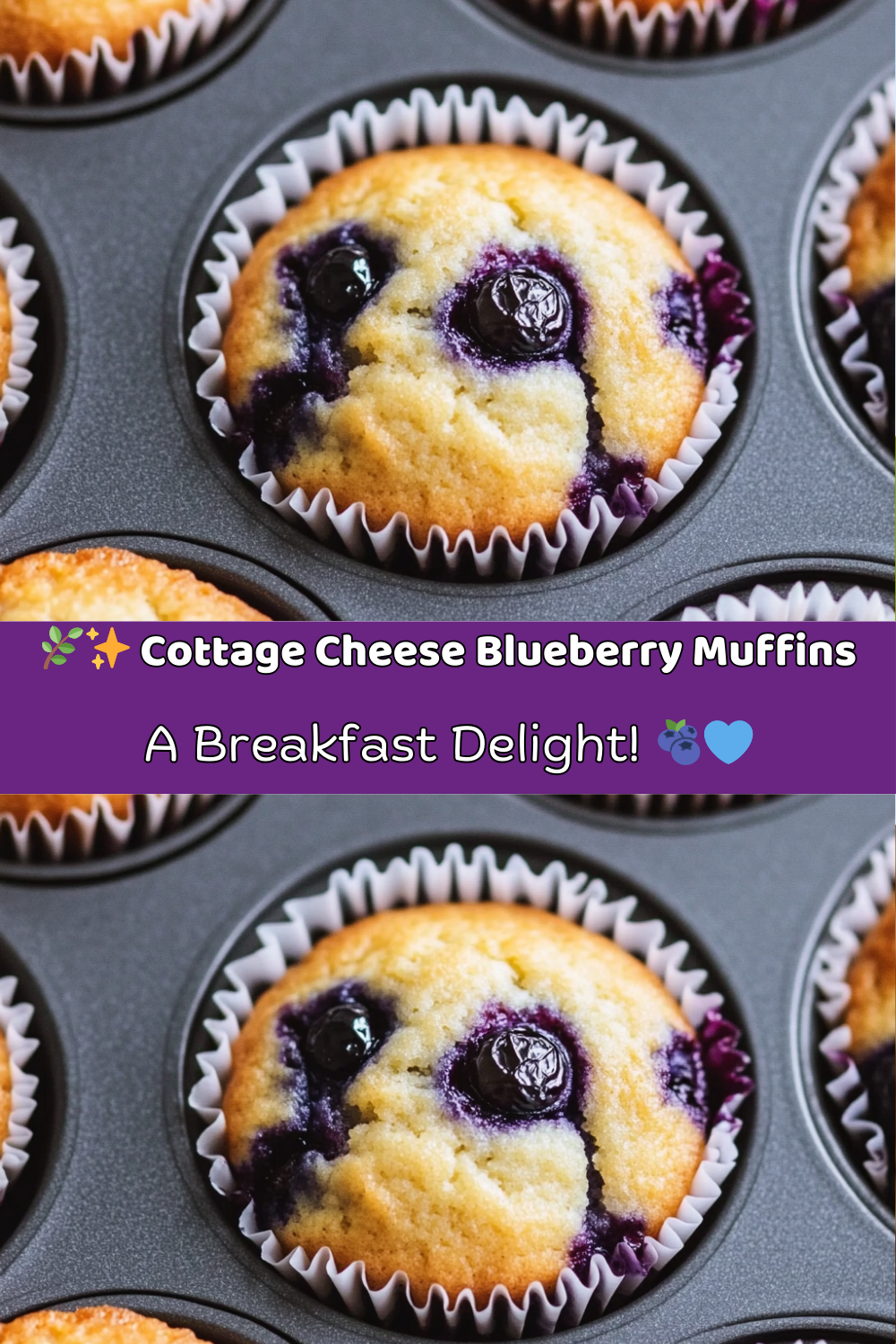 Cottage Cheese Blueberry Muffins