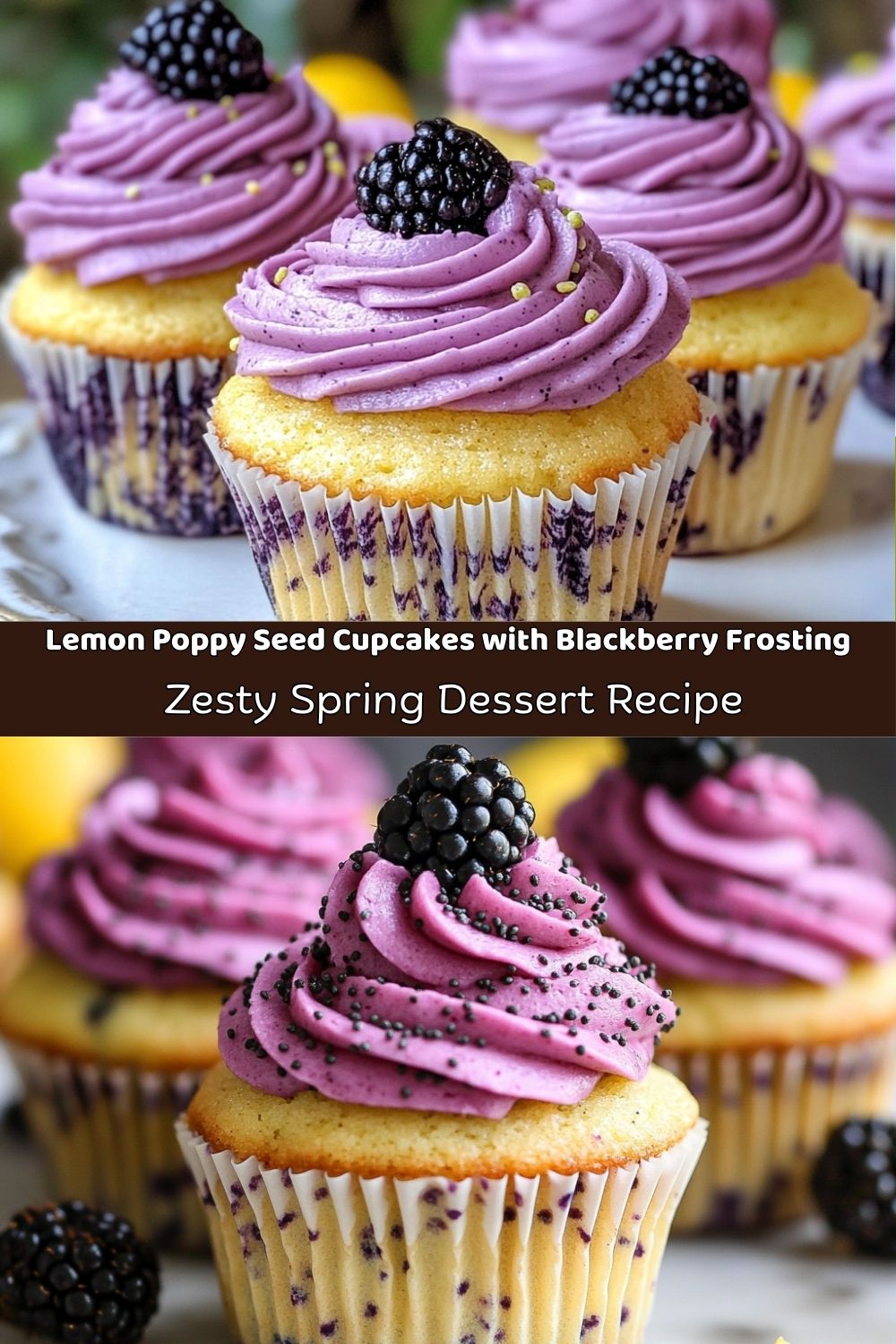 Lemon Poppy Seed Cupcakes with Blackberry Frosting