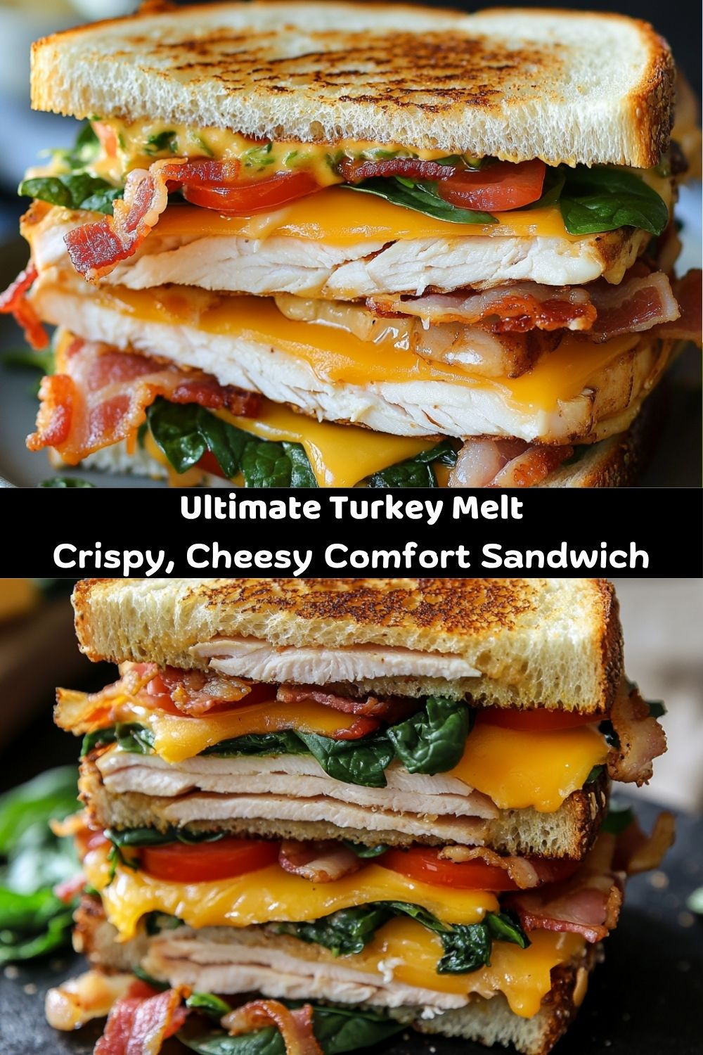 Turkey Melt with Cheddar
